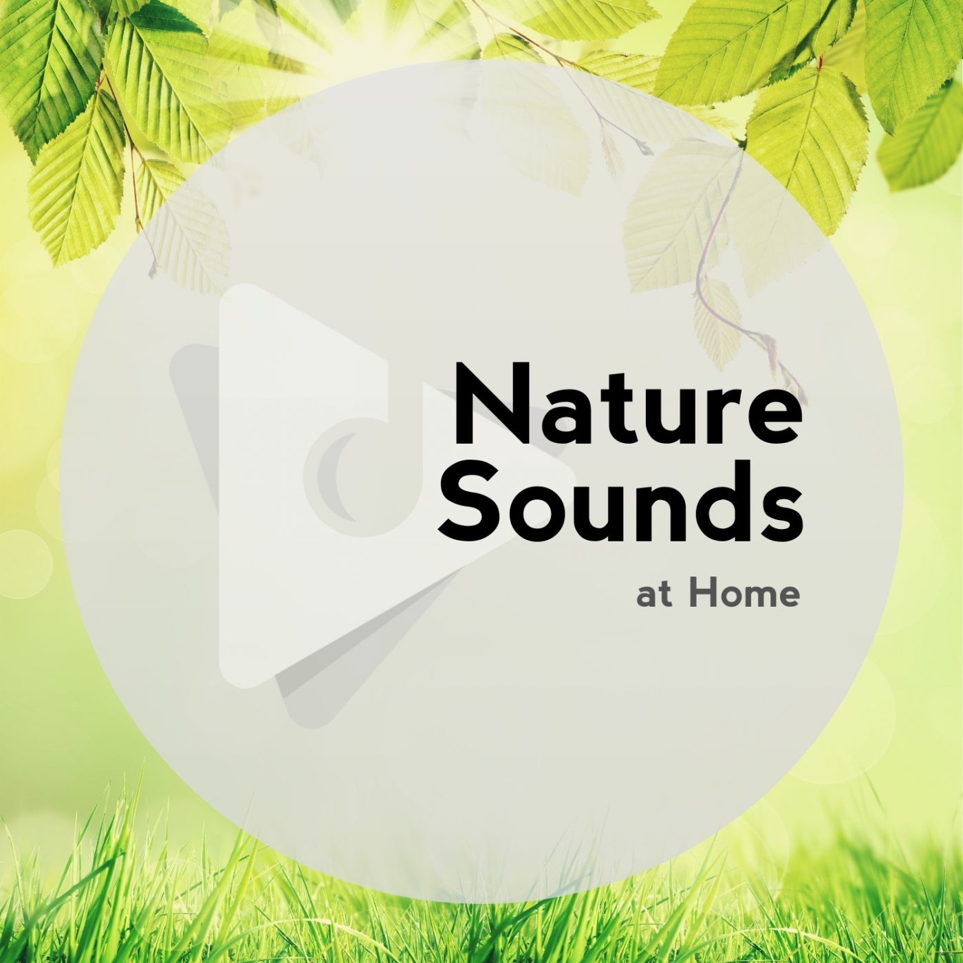 Nature Sounds At Home