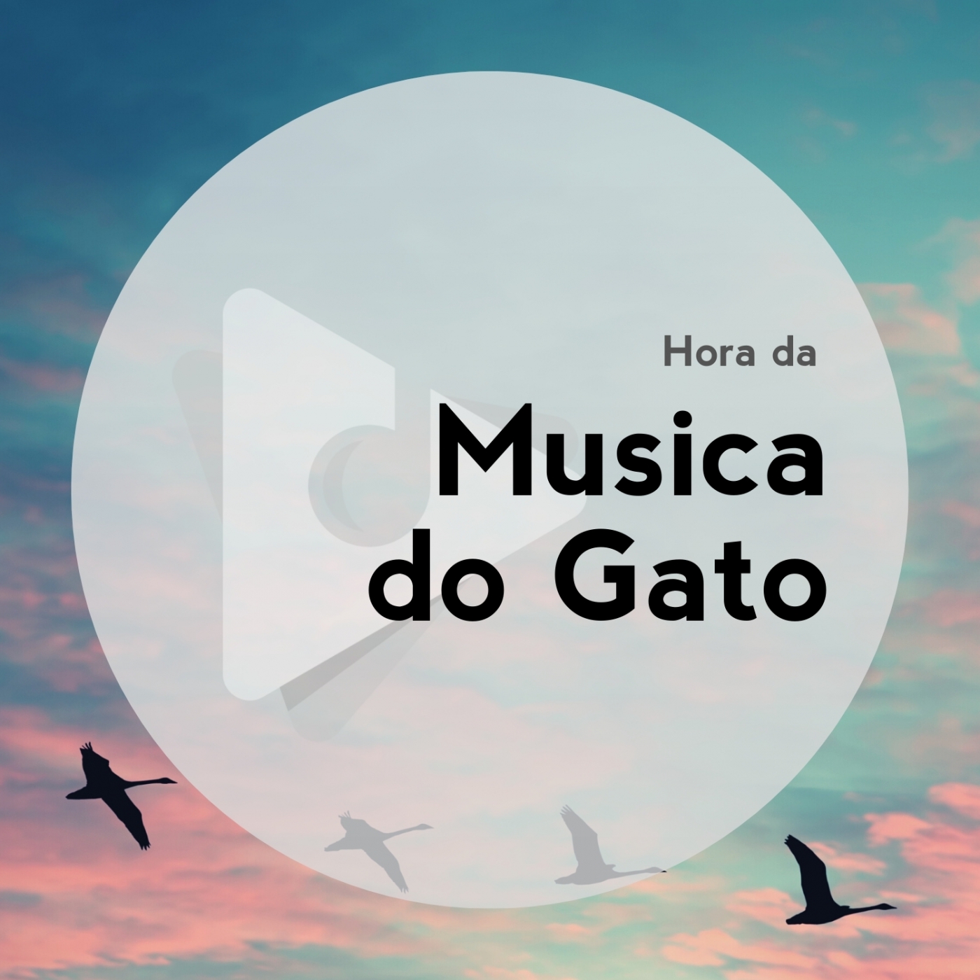 Hora da Música do Gato
