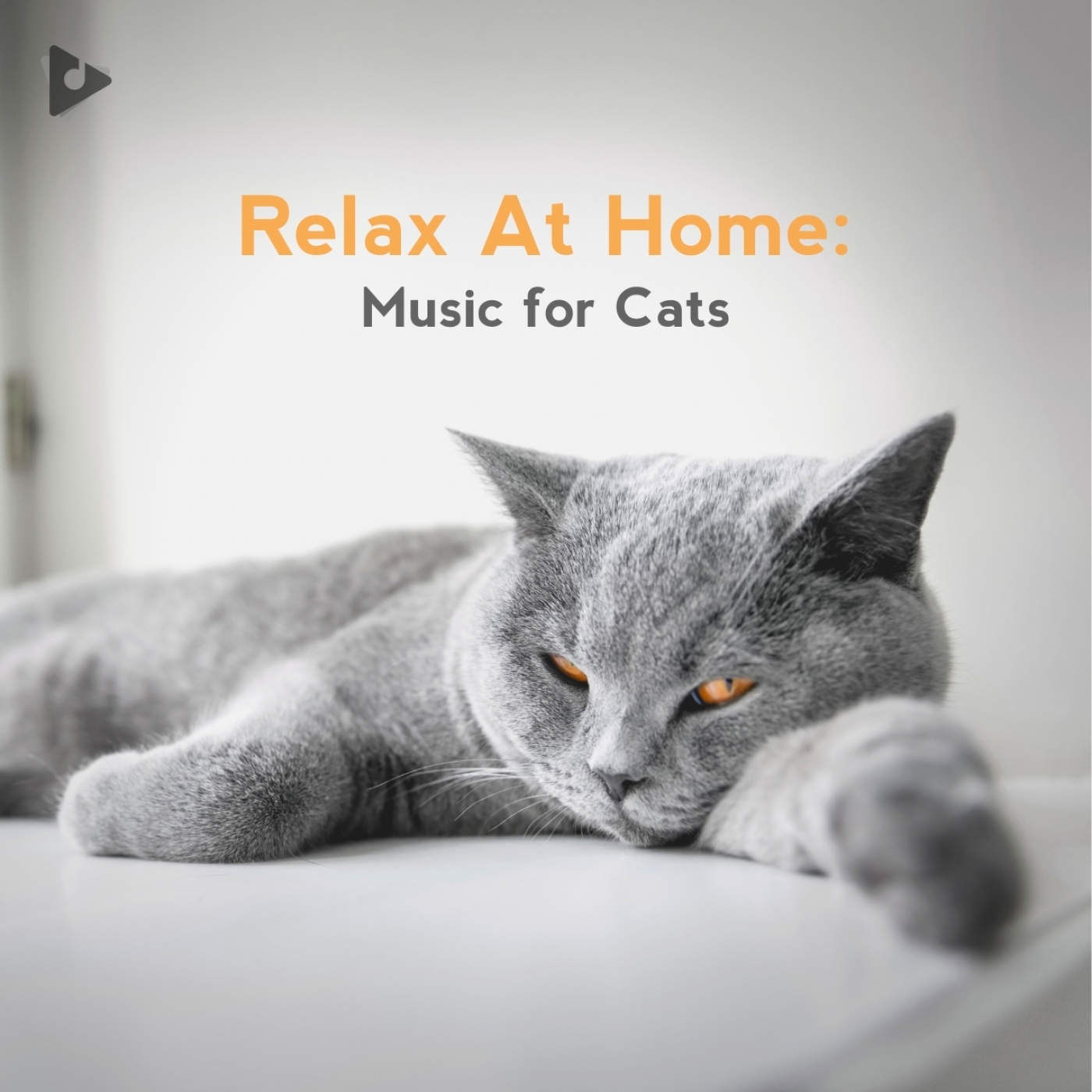 Relax At Home: Music for Cats