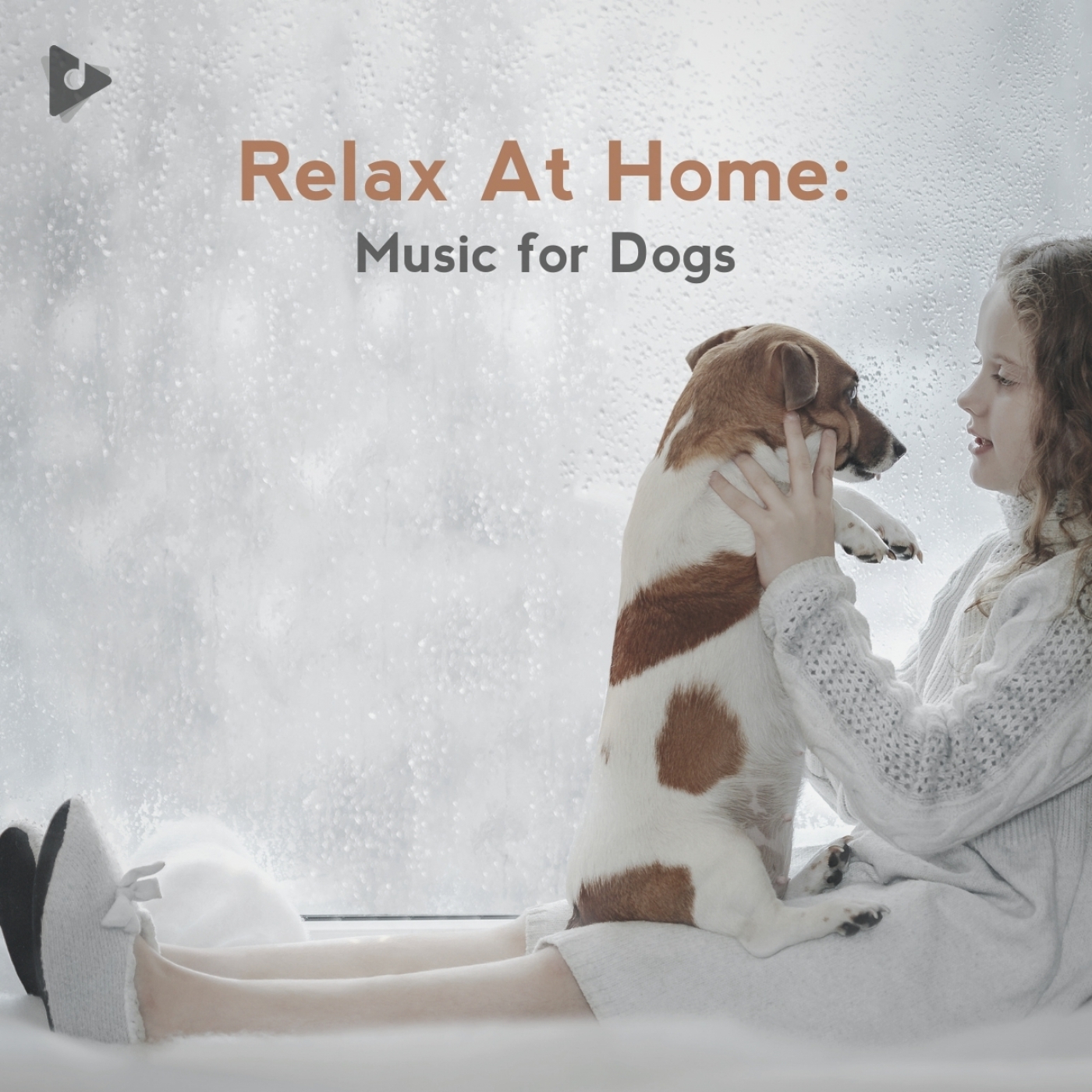 Relax At Home: Music for Dogs