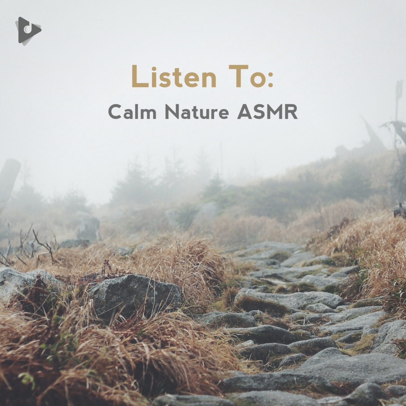 Listen To: Calm Nature ASMR