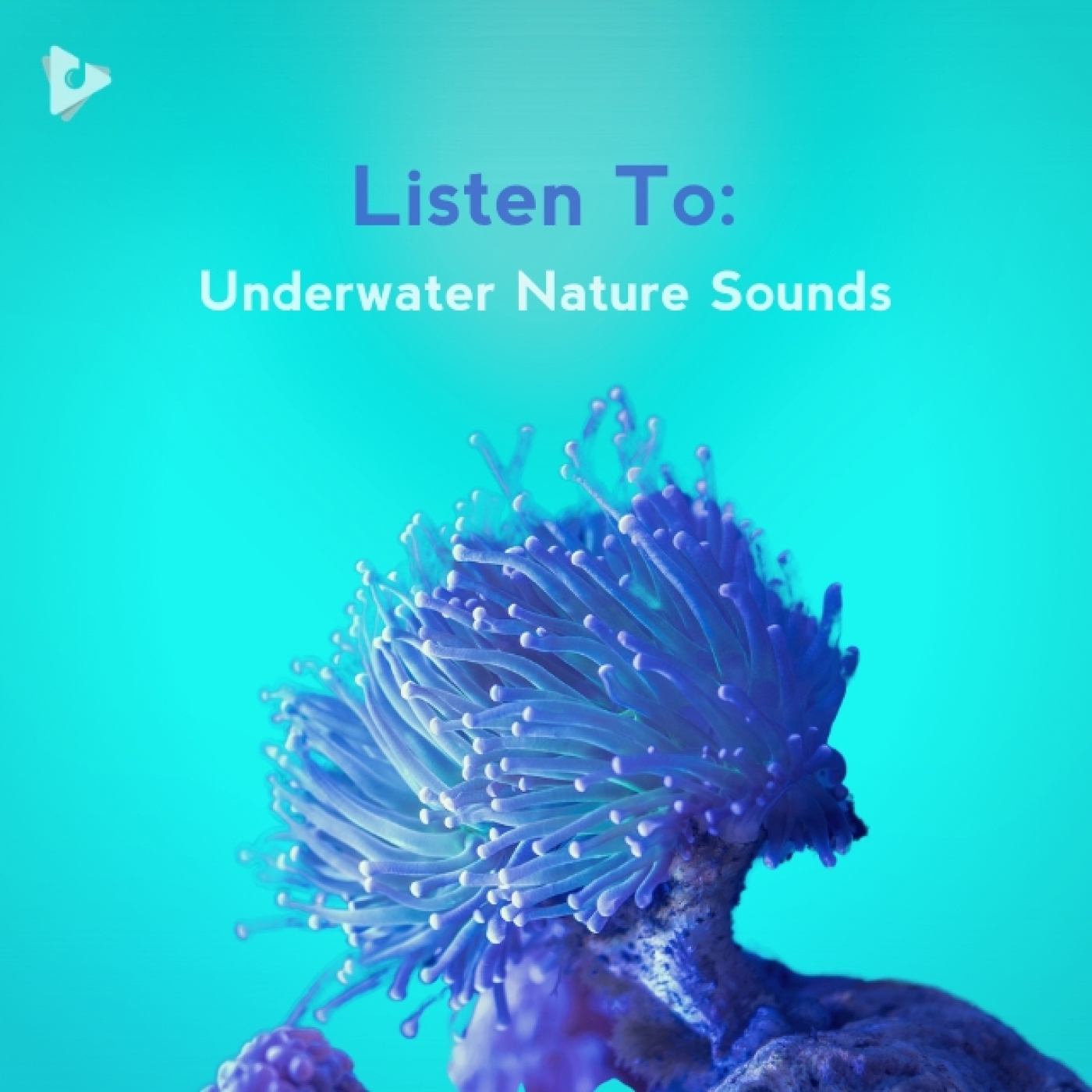 Listen To: Underwater Nature Sounds
