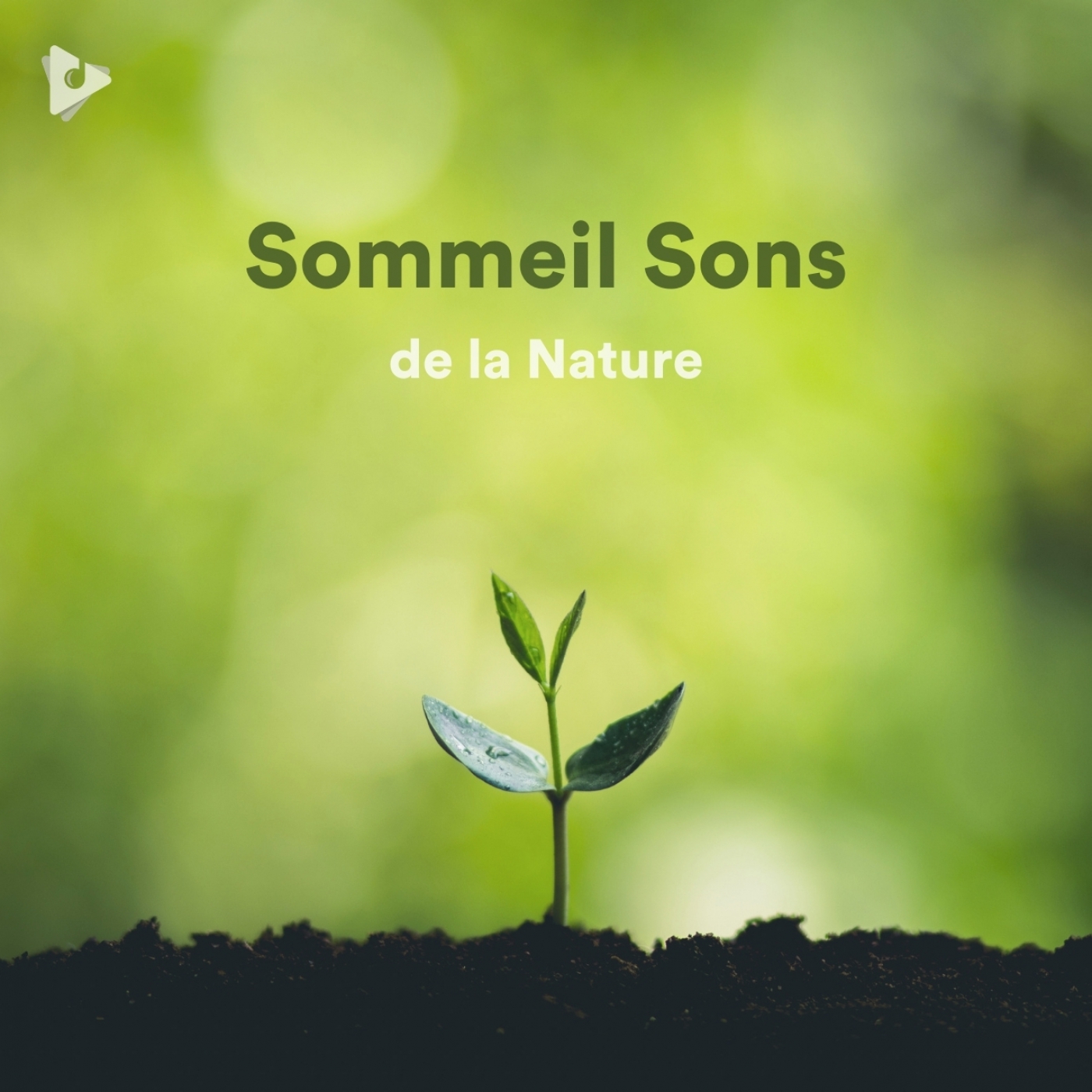Sommeil Sons de la Nature
