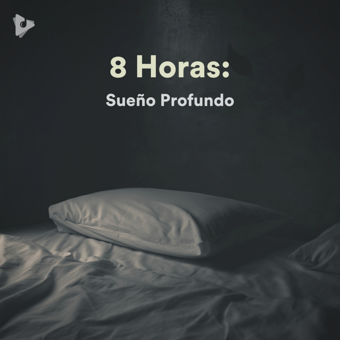 8 Horas: Sueño Profundo