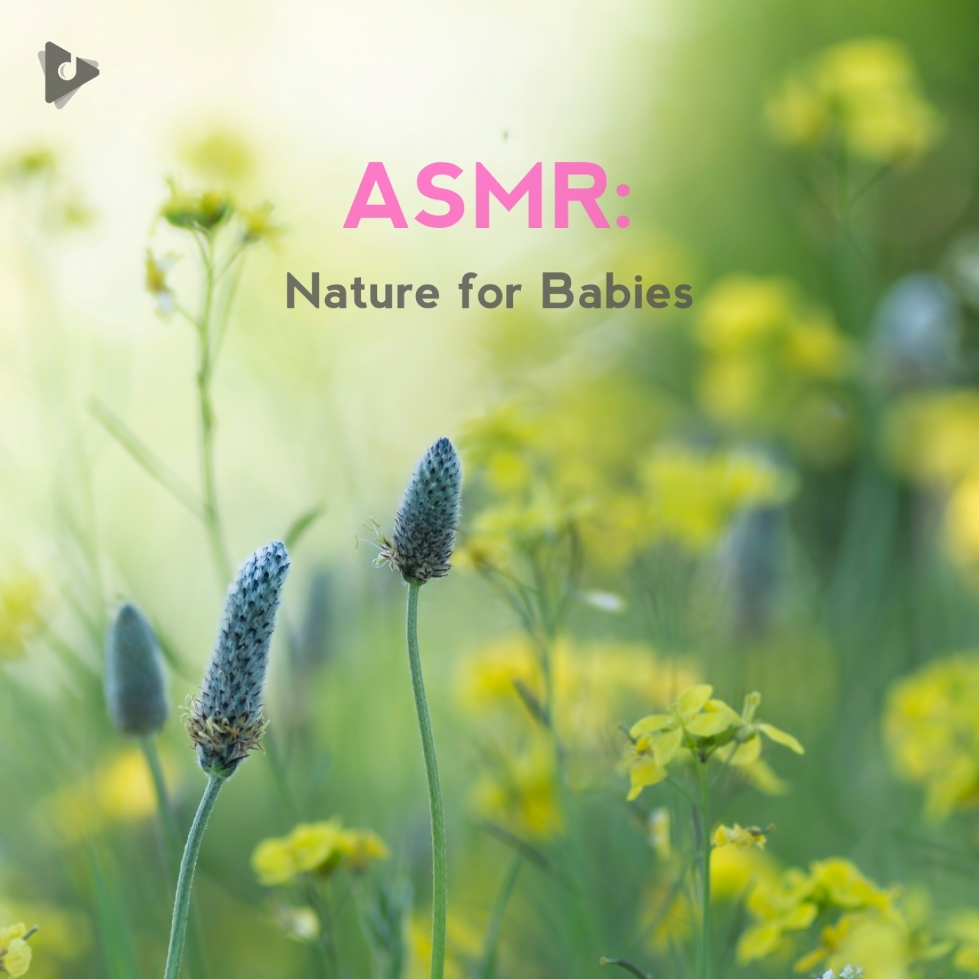 ASMR: Nature for Babies