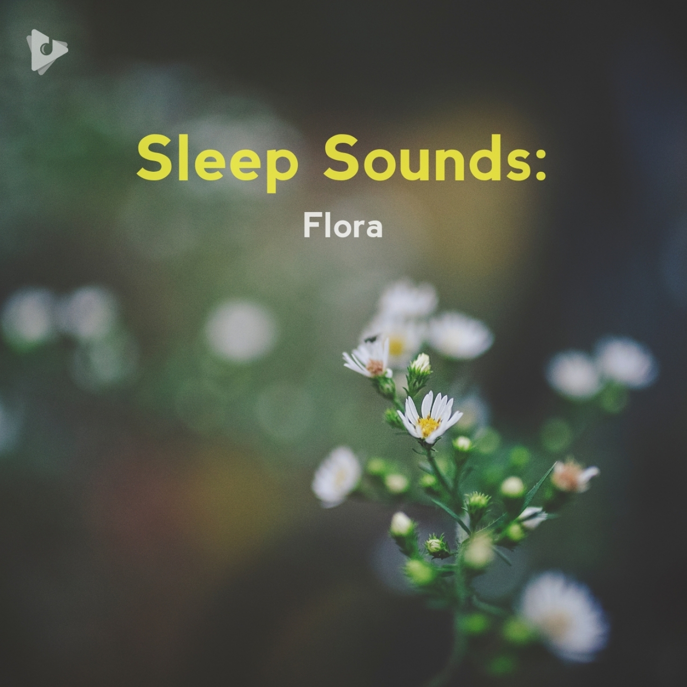 Sleep Sounds: Flora