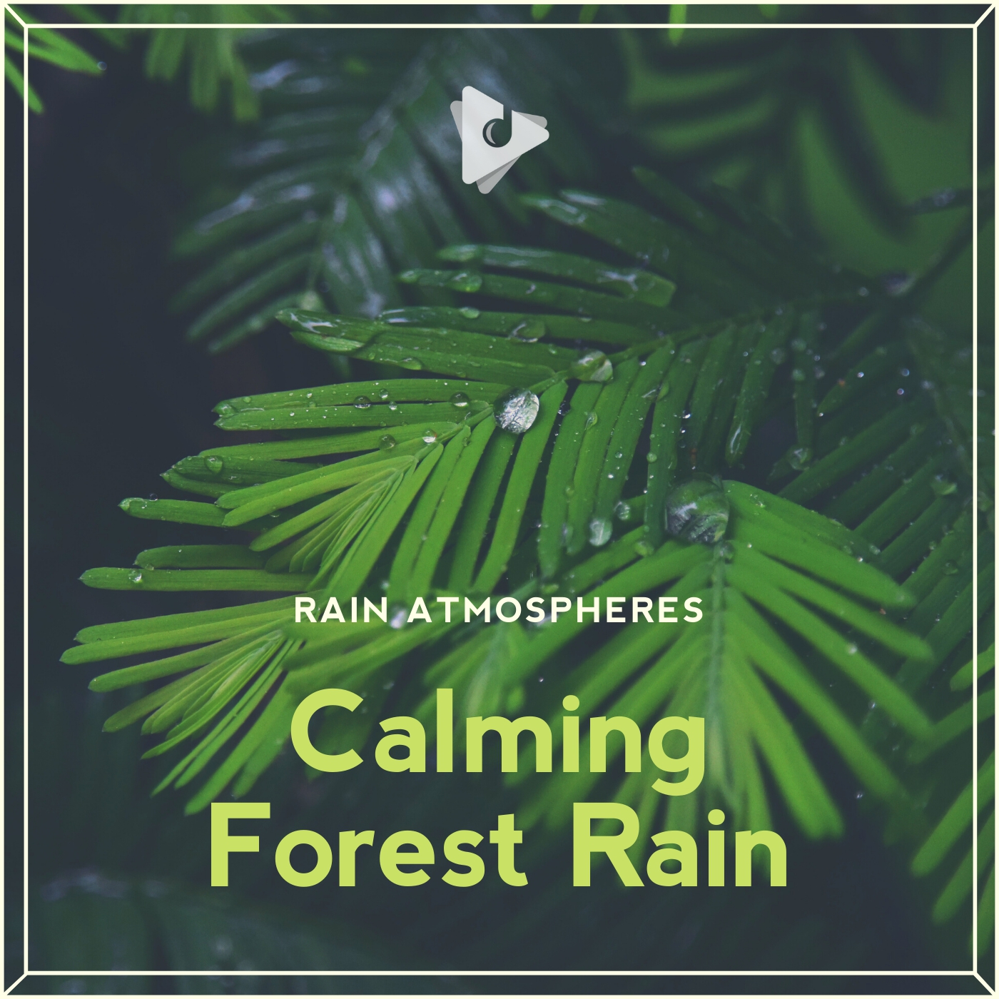 Calming Forest Rain