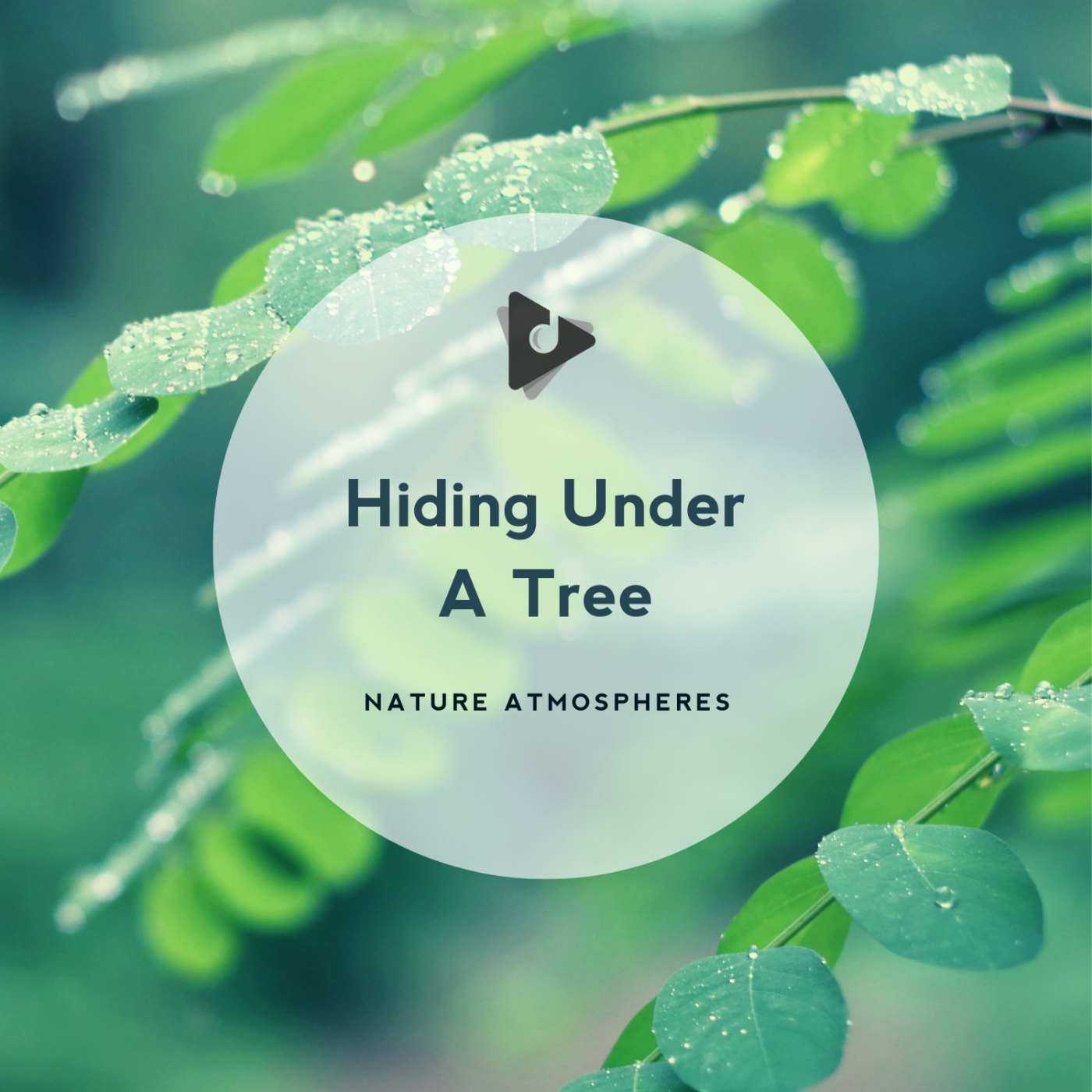 Hiding Under A Tree