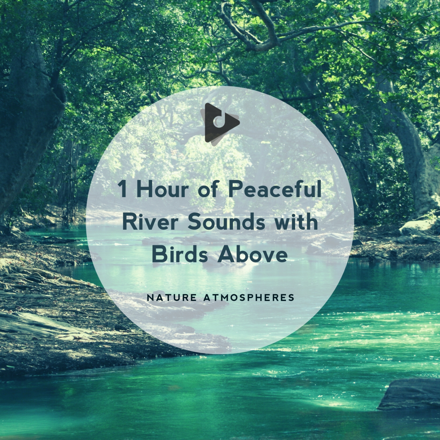 1 Hour of Peaceful River Sounds with Birds Above