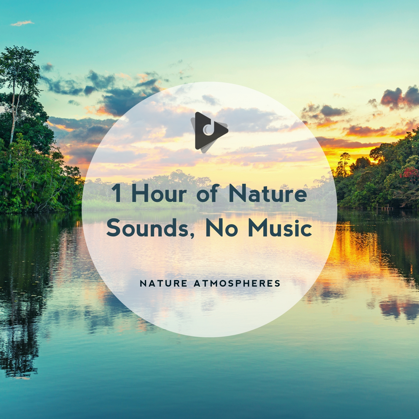 1 Hour of Nature Sounds, No Music