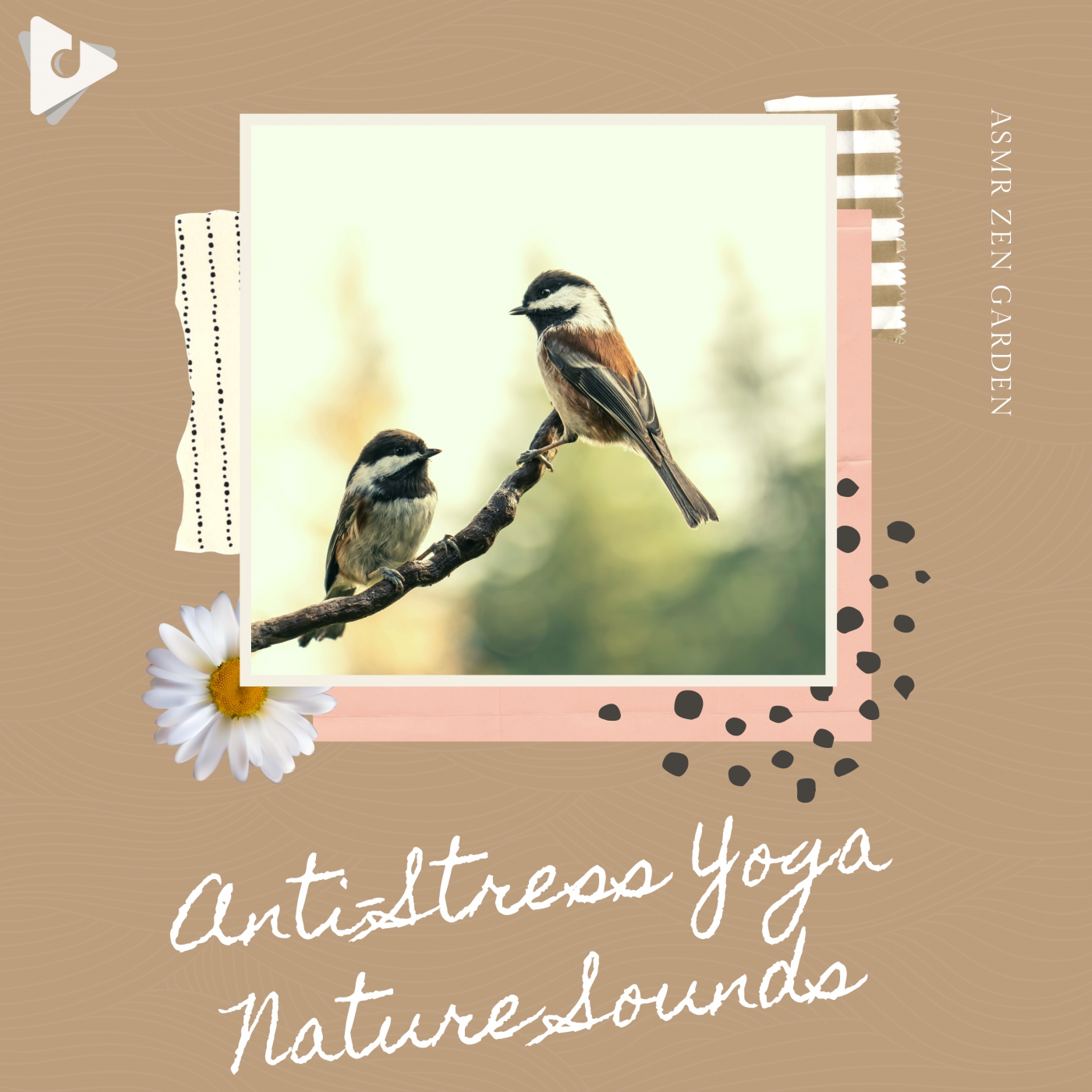 Anti-Stress Yoga Nature Sounds