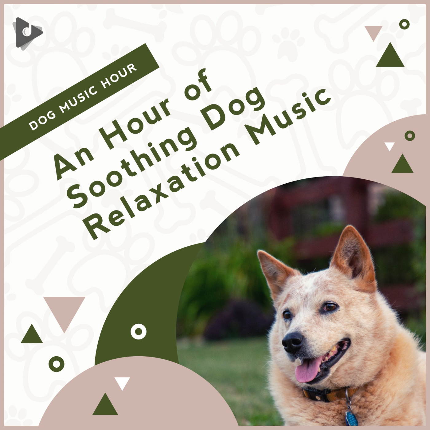 An Hour of Soothing Dog Relaxation Music