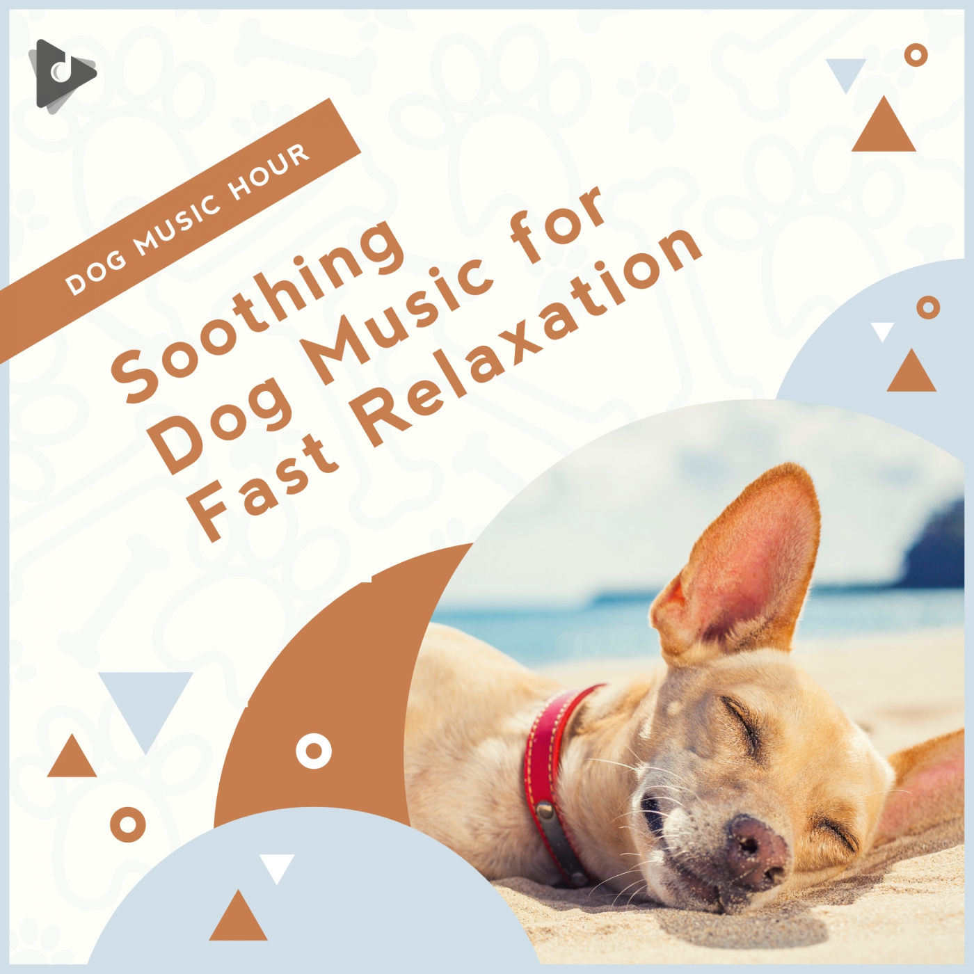 what-type-of-music-soothes-dogs