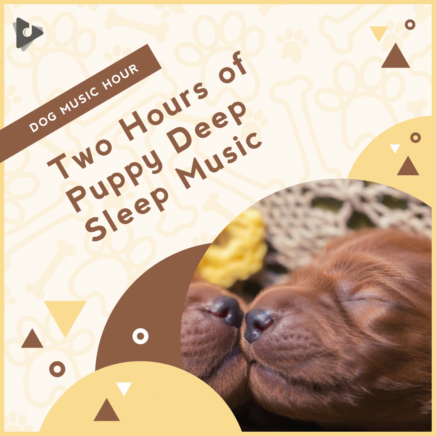 Two Hours of Puppy Deep Sleep Music