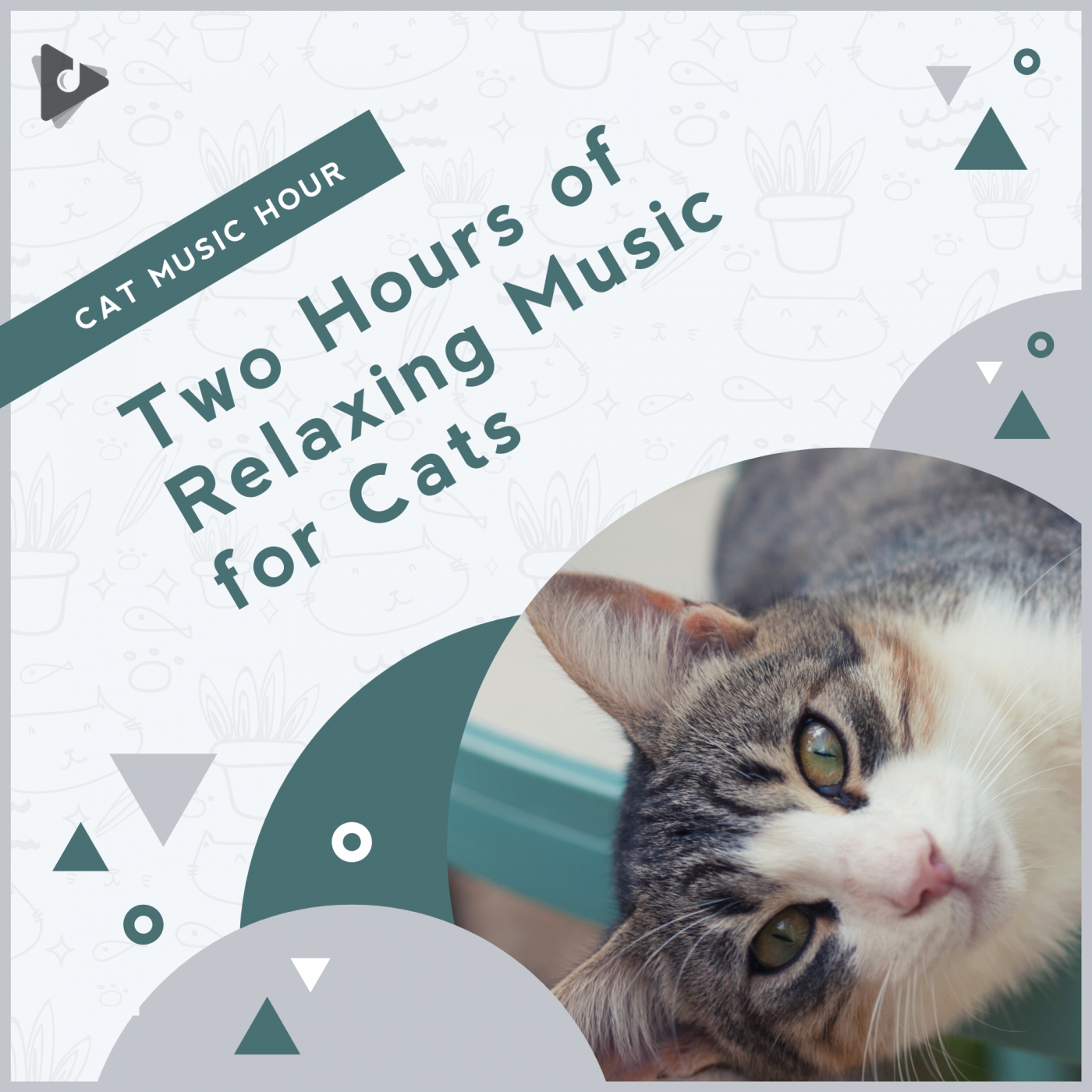 Two Hours of Relaxing Music for Cats