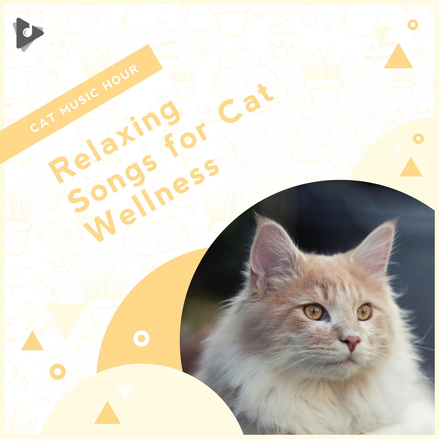 Relaxing Songs for Cat Wellness