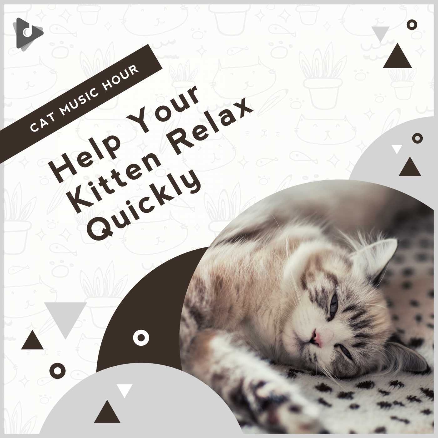 Help Your Kitten Relax Quickly