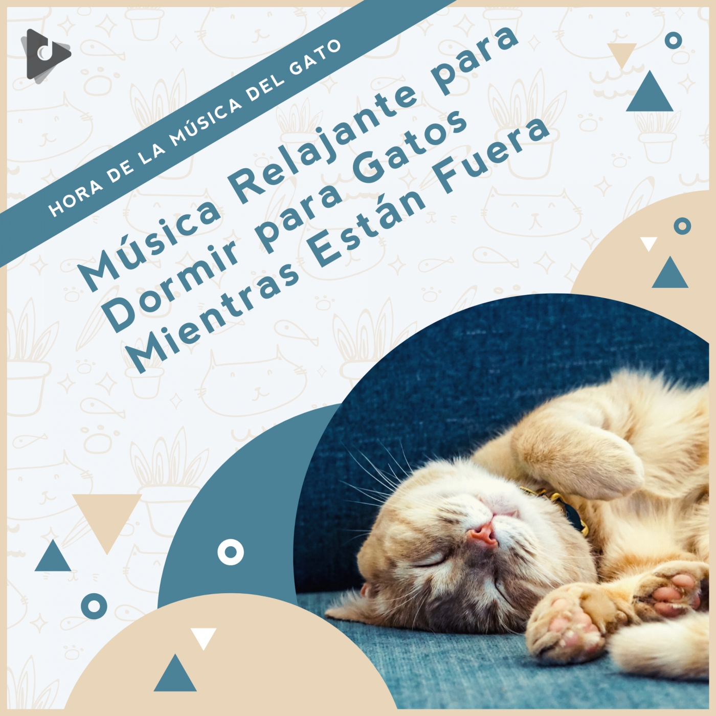 Música Relajante para Dormir para Gatos Mientras Están Fuera