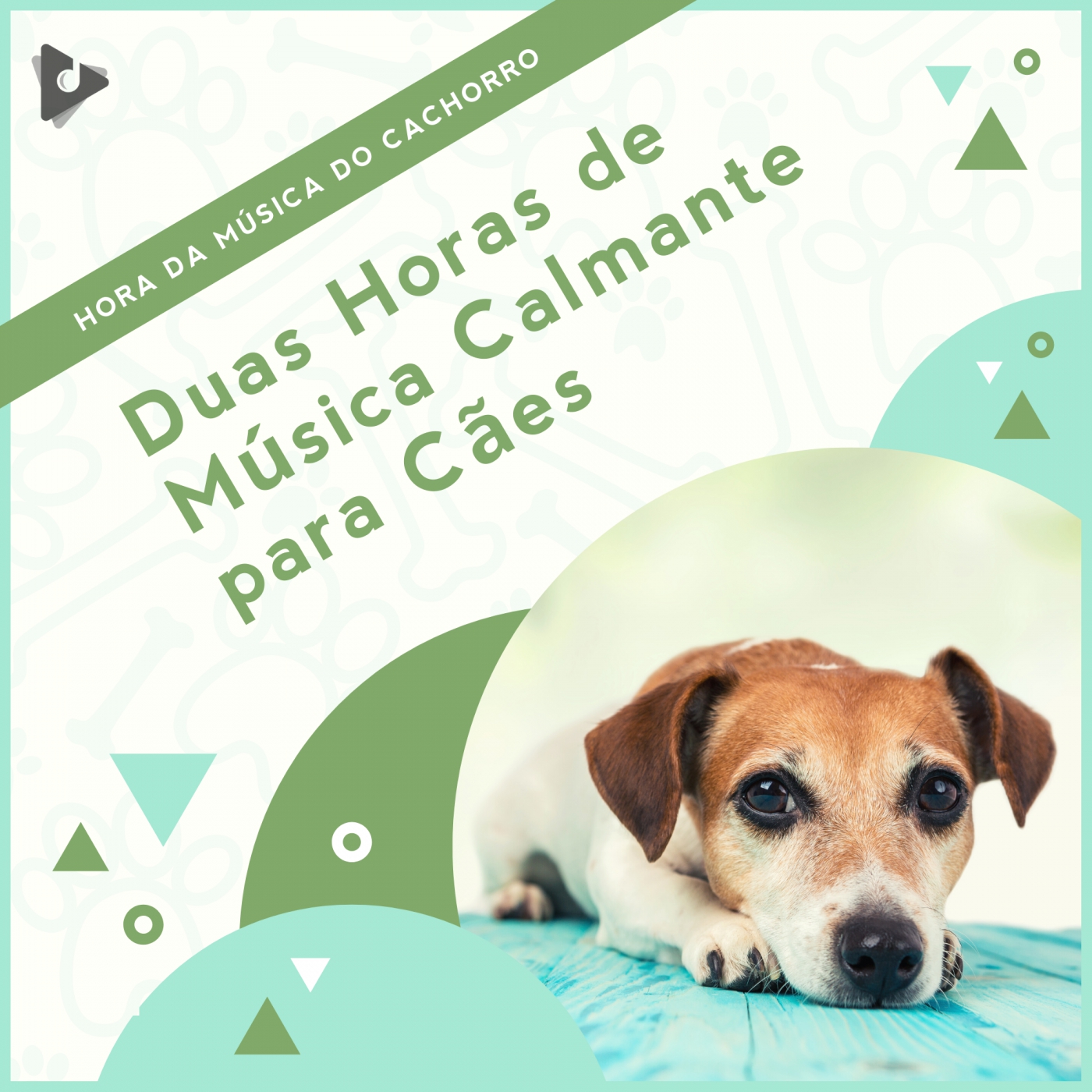 Duas Horas de Música Calmante para Cães