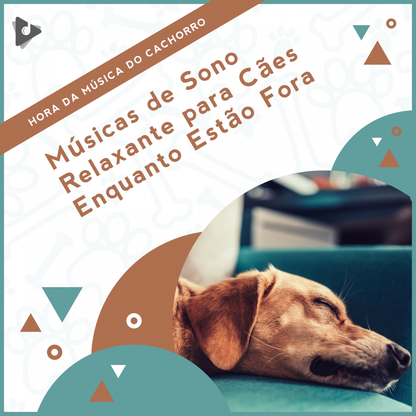 Músicas de Sono Relaxante para Cães Enquanto Estão Fora