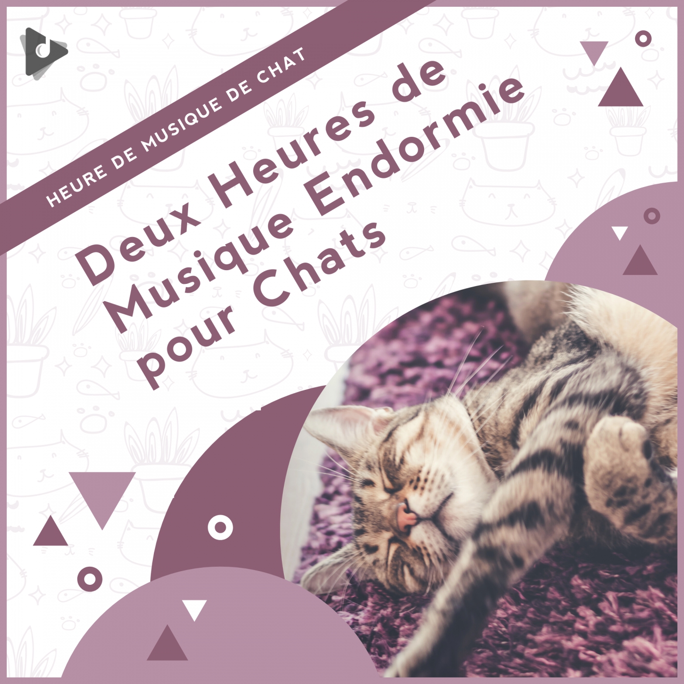Deux Heures de Musique Endormie pour Chats