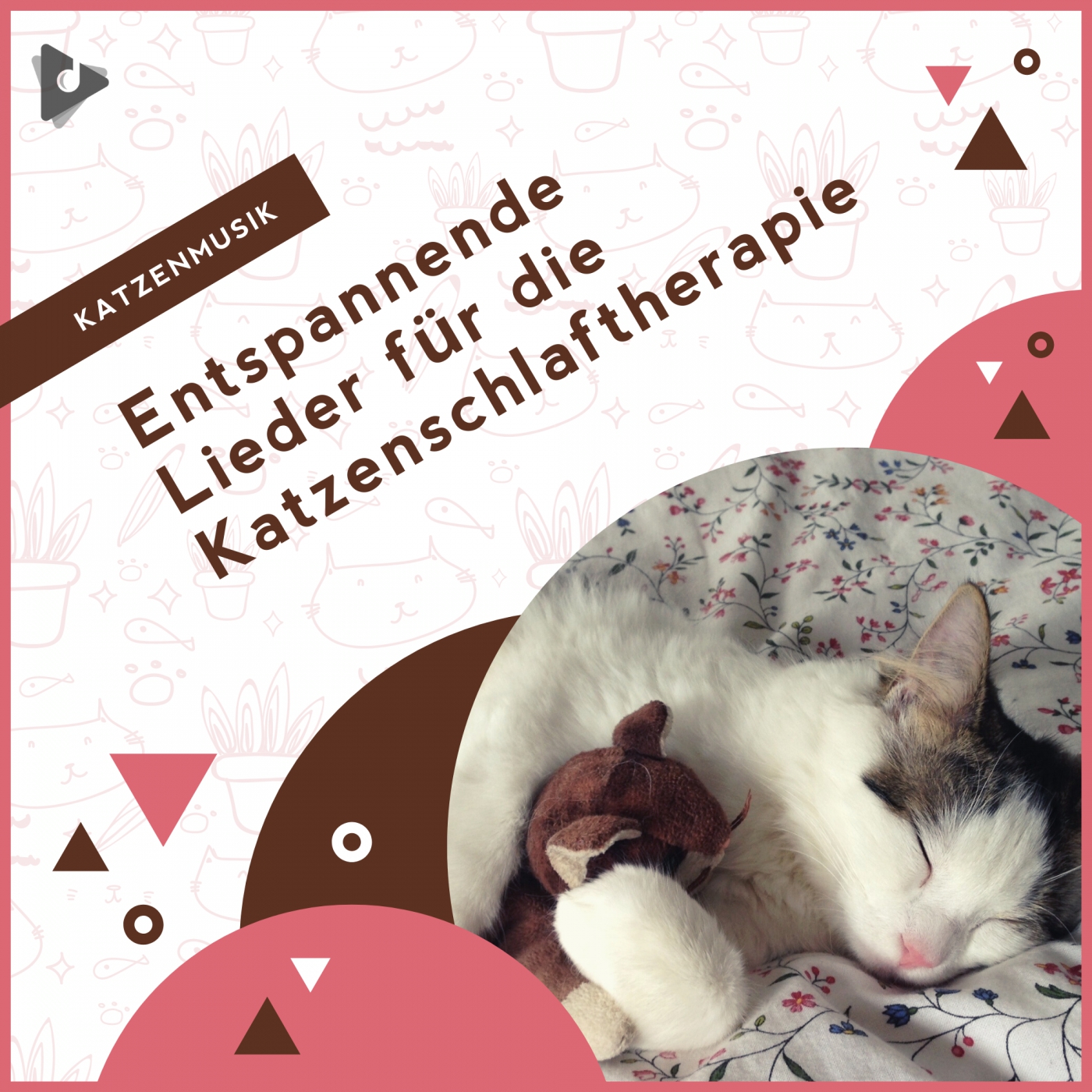 Entspannende Lieder für die Katzenschlaftherapie