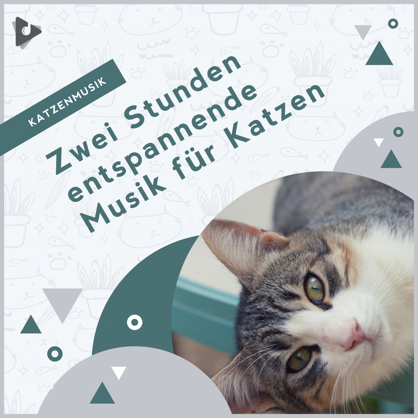 Zwei Stunden entspannende Musik für Katzen